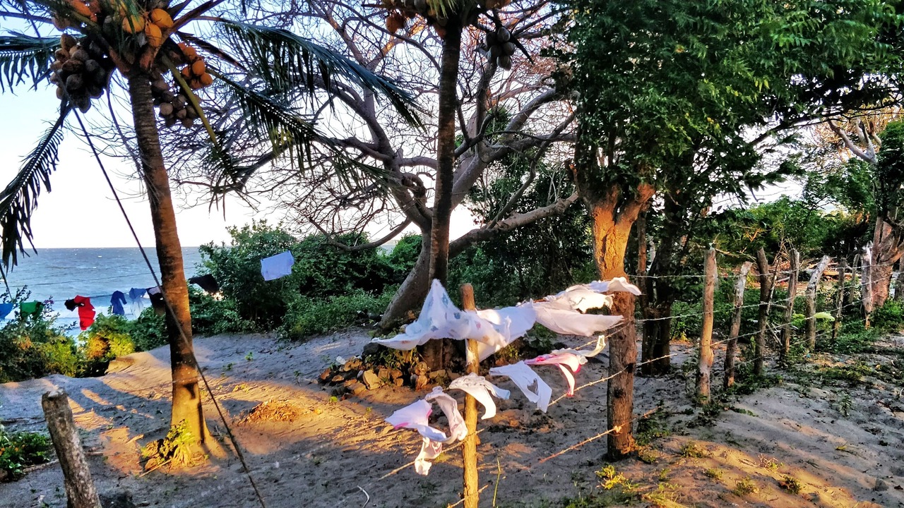 Photo of Outdoor in Santa Cruz