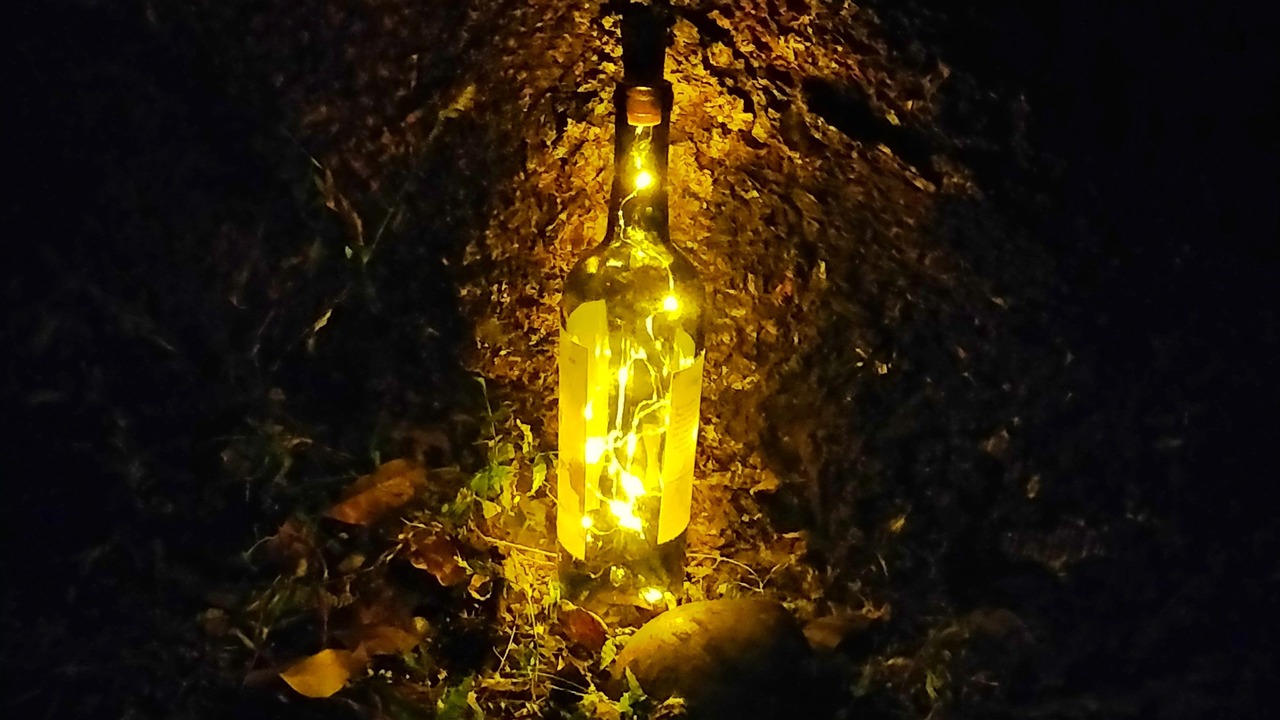 Photo of Outdoor in Santa Cruz
