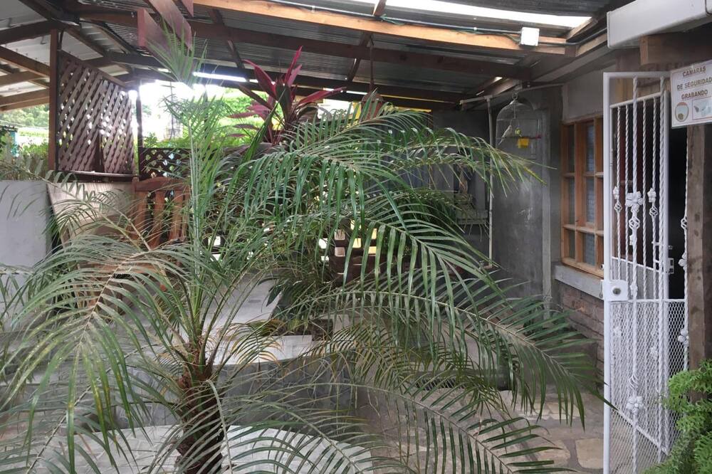 Photo of Outdoor in Rivas