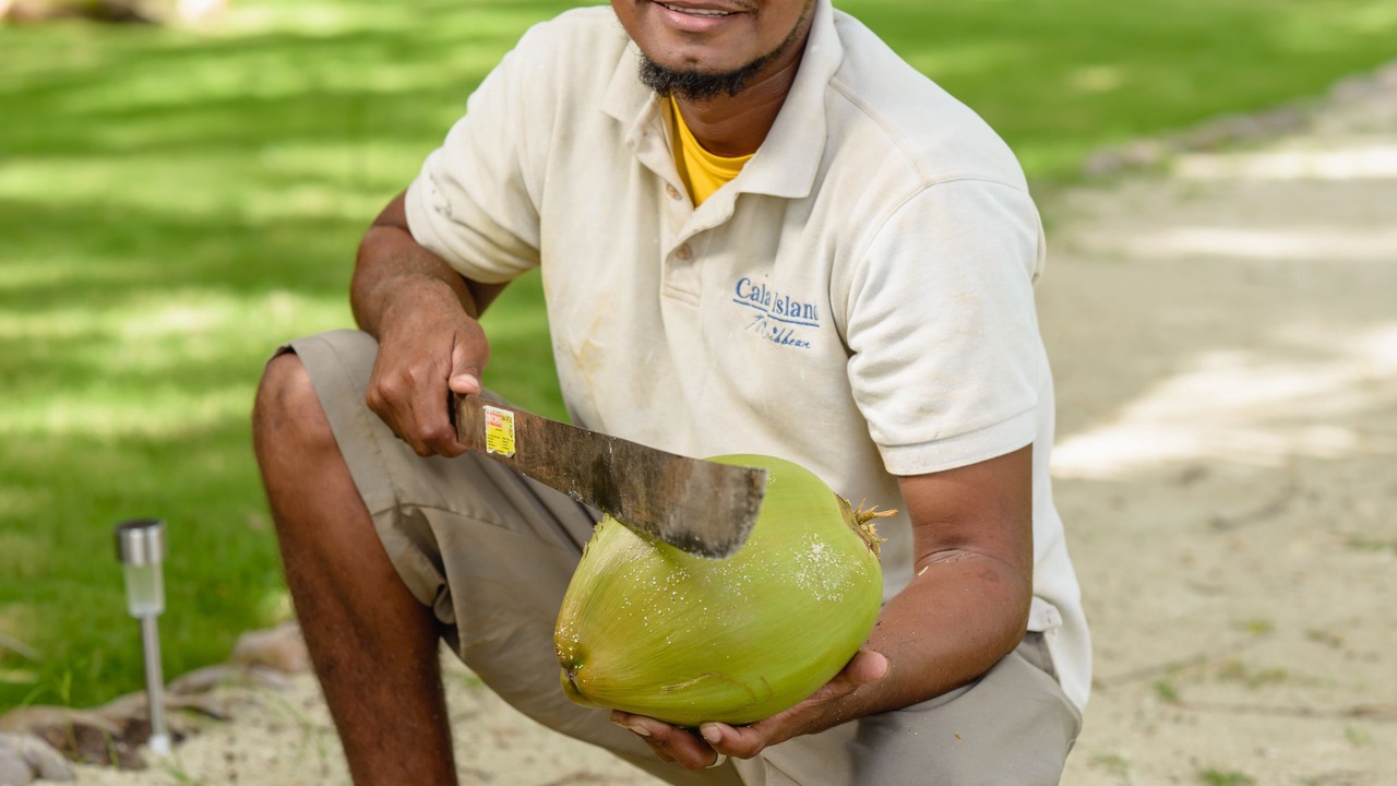 Photo of Others in Calala Island