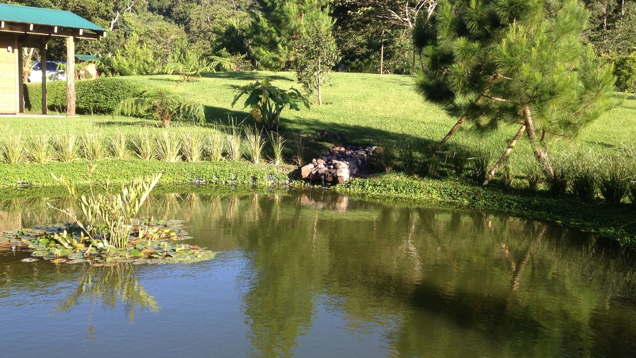 Photo of Outdoor in San Ramon