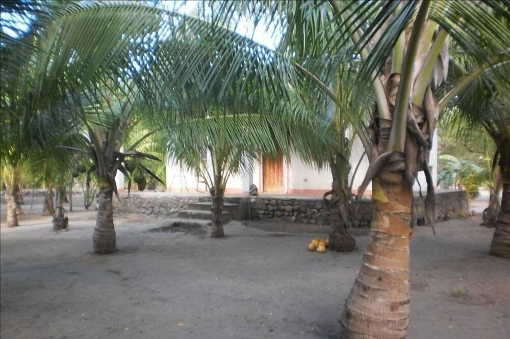Photo of Others in Los Zorros