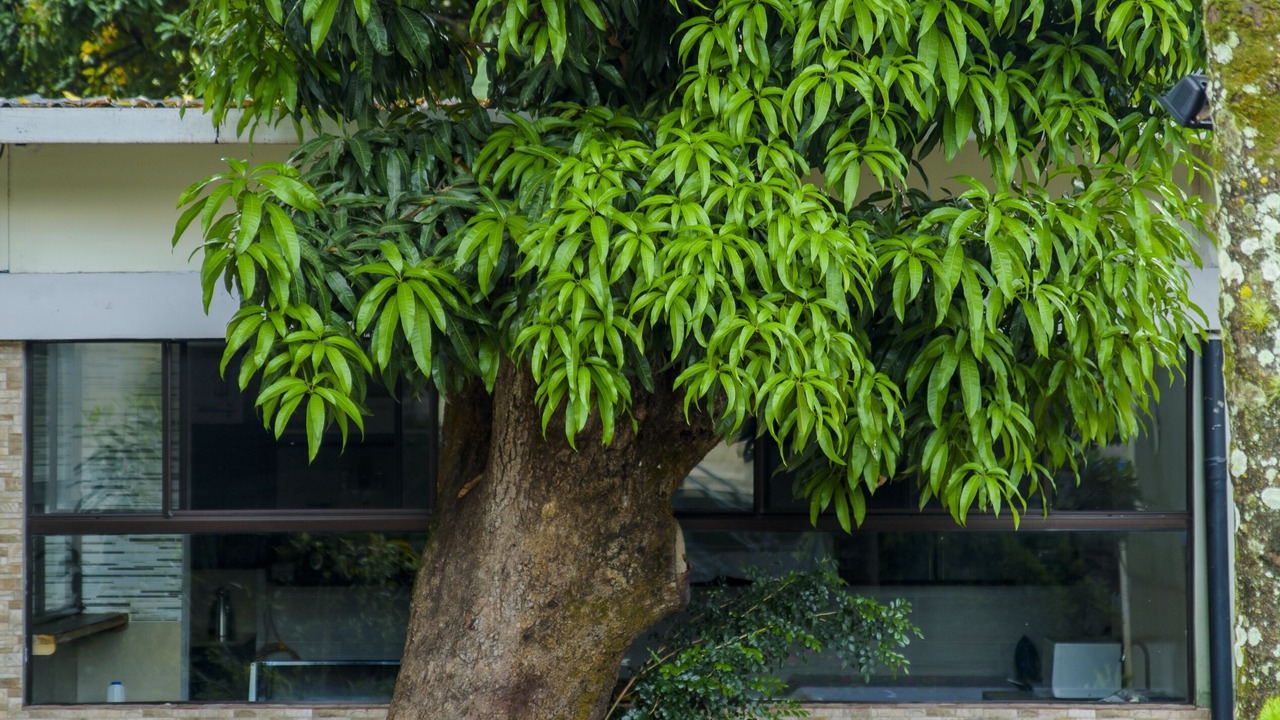Photo of Outdoor in Matagalpa
