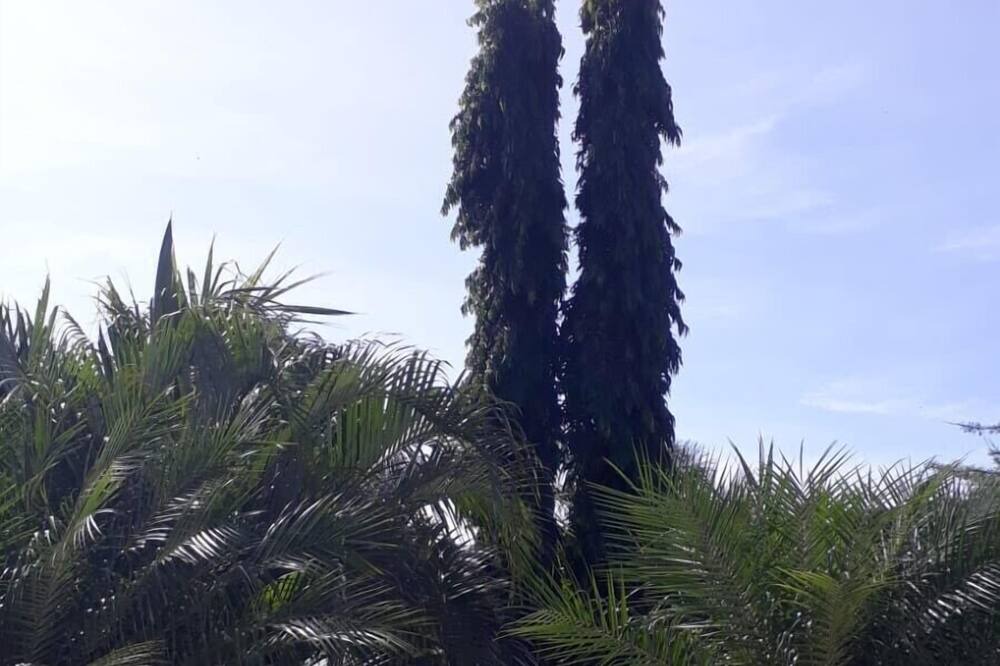 Photo of Outdoor in San Diego