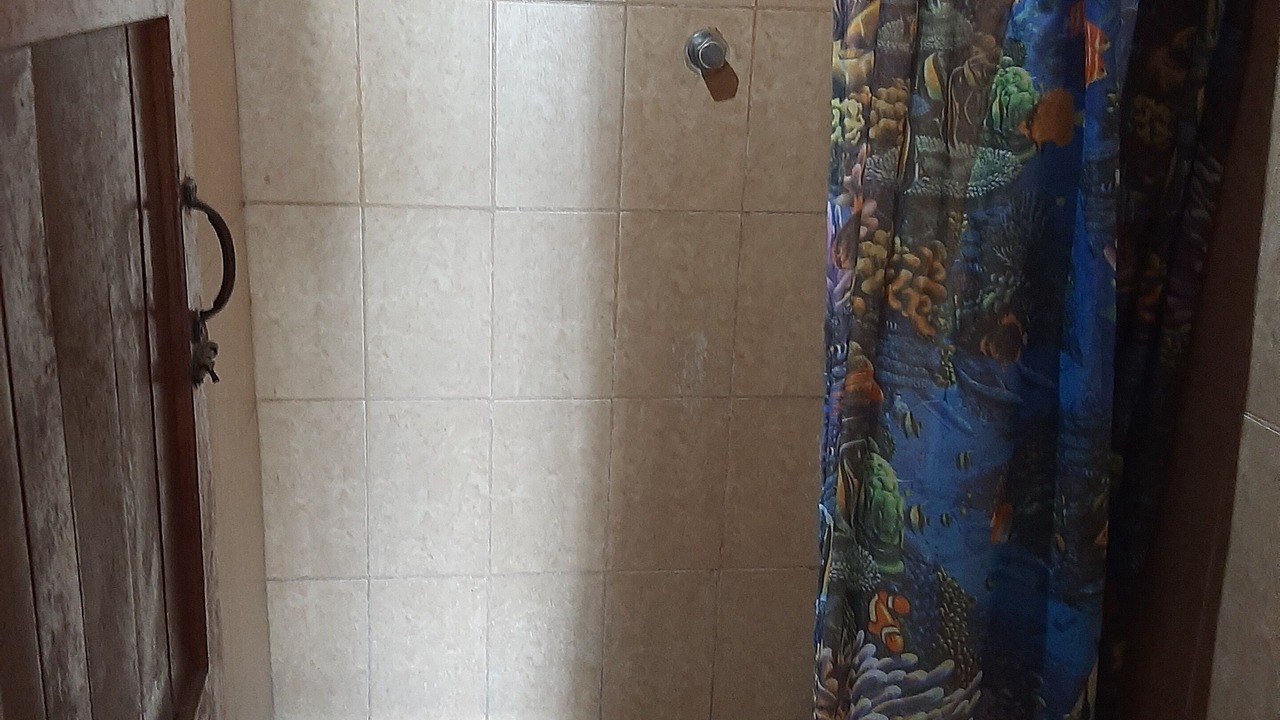 Photo of Bathroom in San Carlos