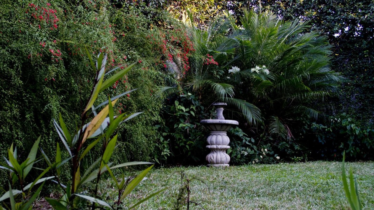 Photo of Outdoor in Managua