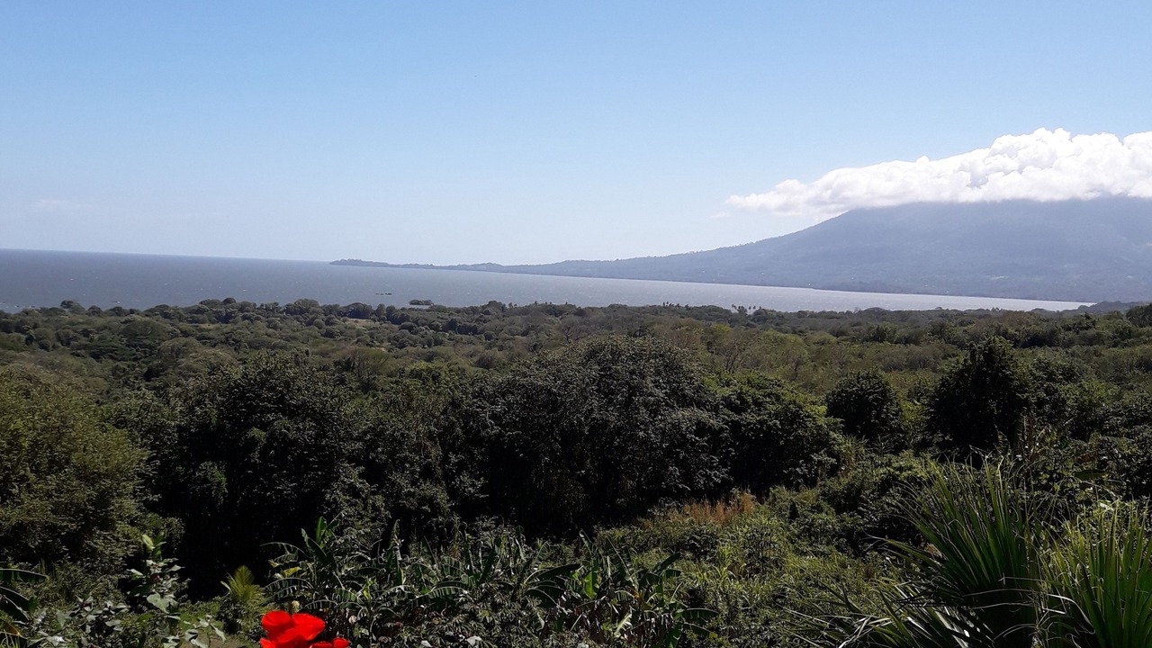 Photo of Others in Altagracia