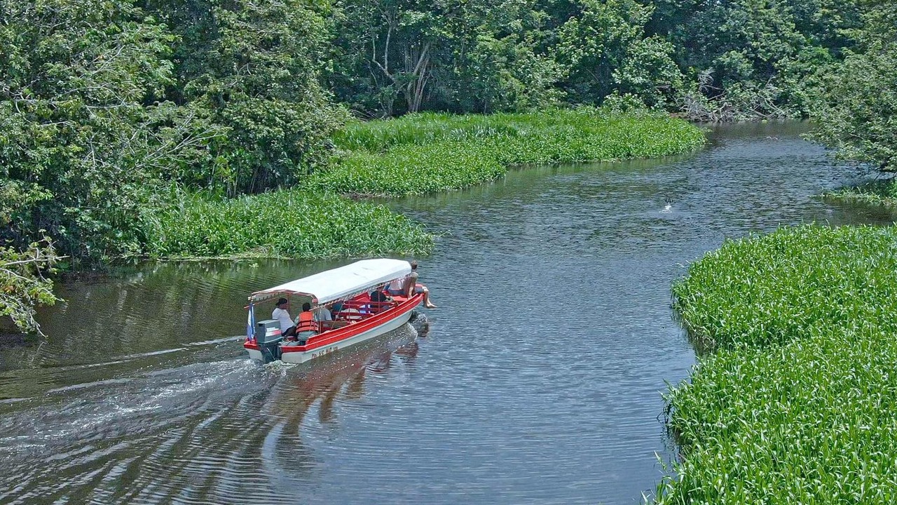 Photo of Outdoor in El Castillo