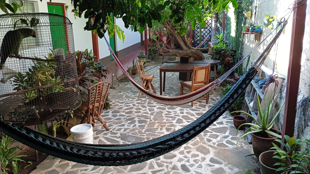 Photo of Livingroom in Leon