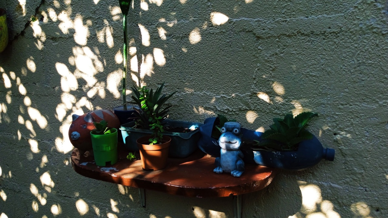 Photo of Patio Balcony in Leon