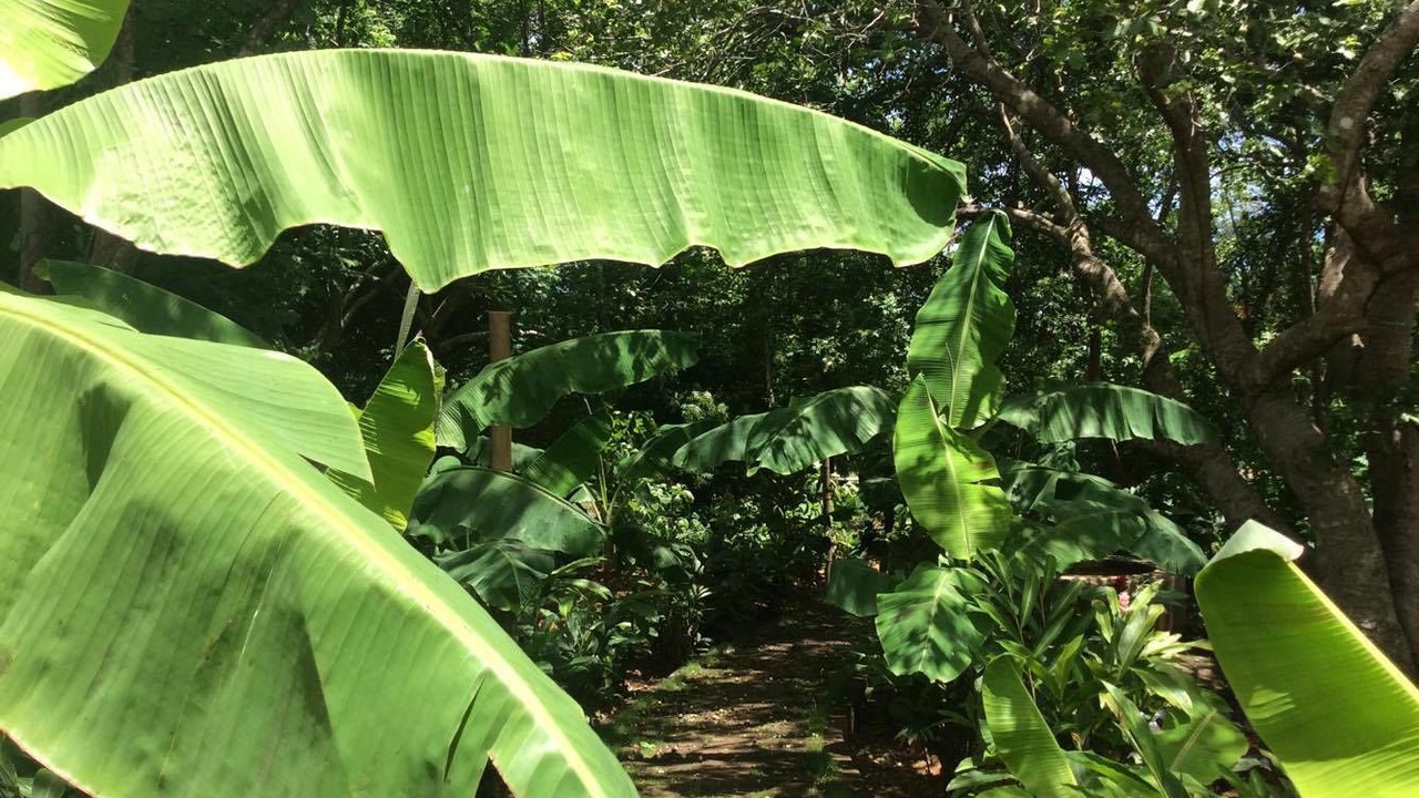 Photo of Outdoor in San Juan del Sur