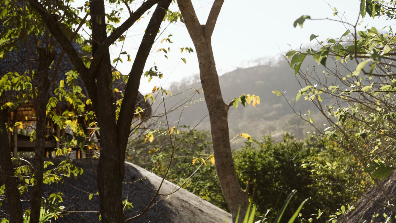 Photo of Others in San Juan del Sur