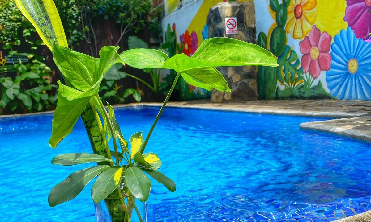 Photo of Outdoor in Leon