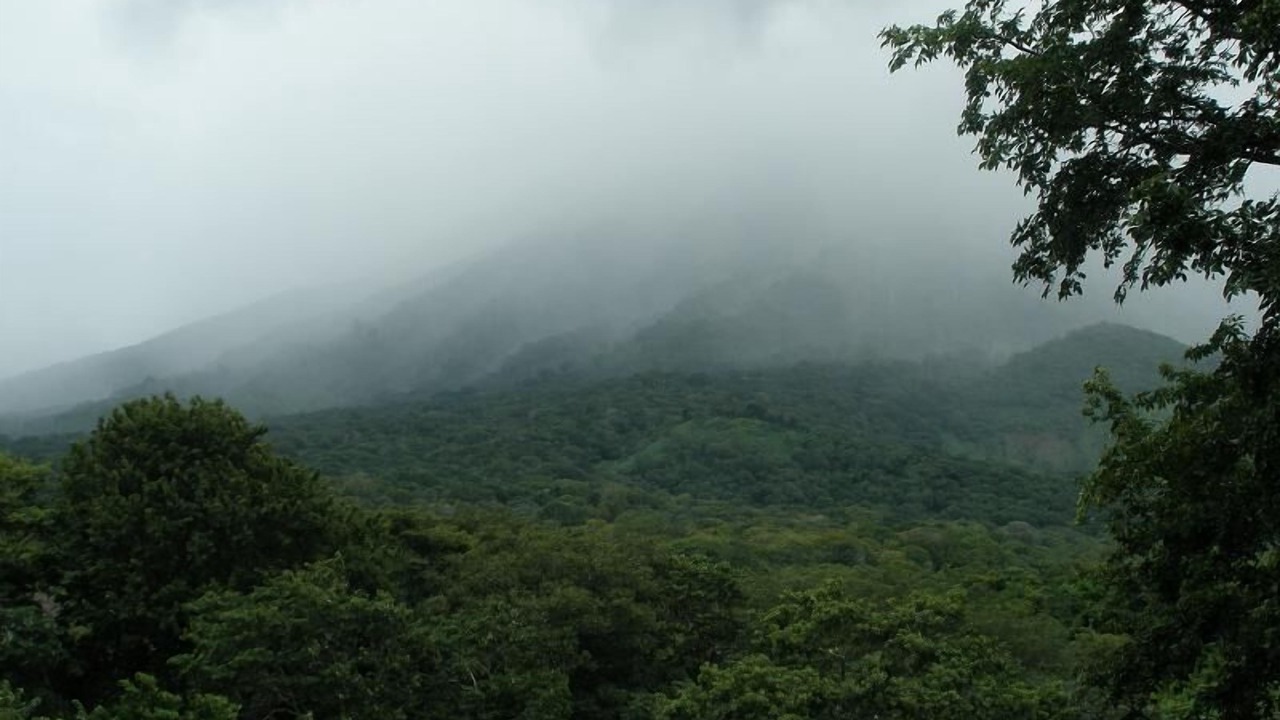 Photo of Others in Ometepe Island