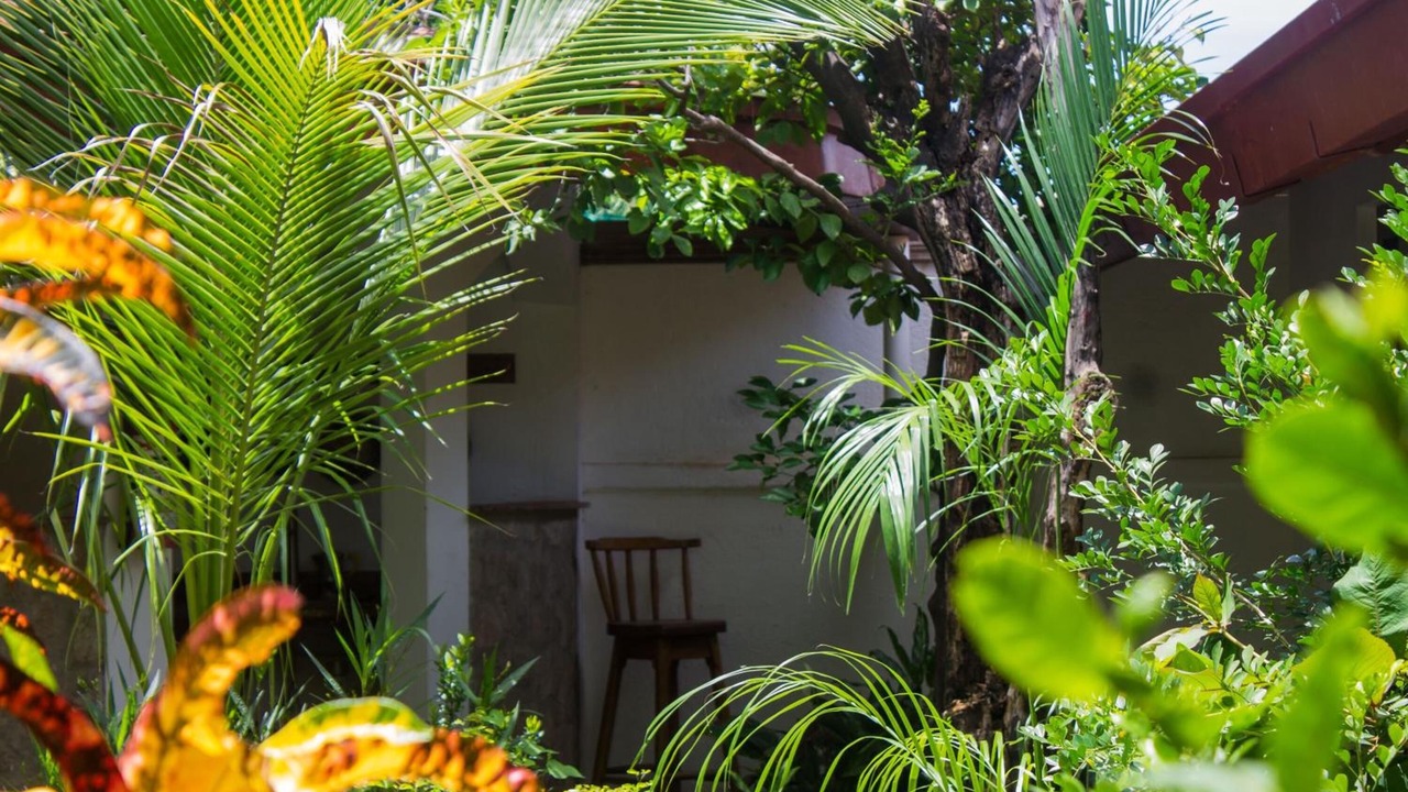 Photo of Outdoor in Granada