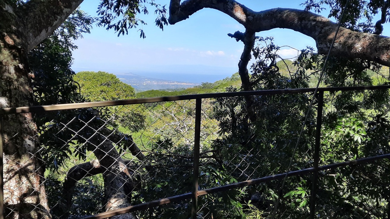 Photo of Others in Mombacho Volcano Nature Reserve