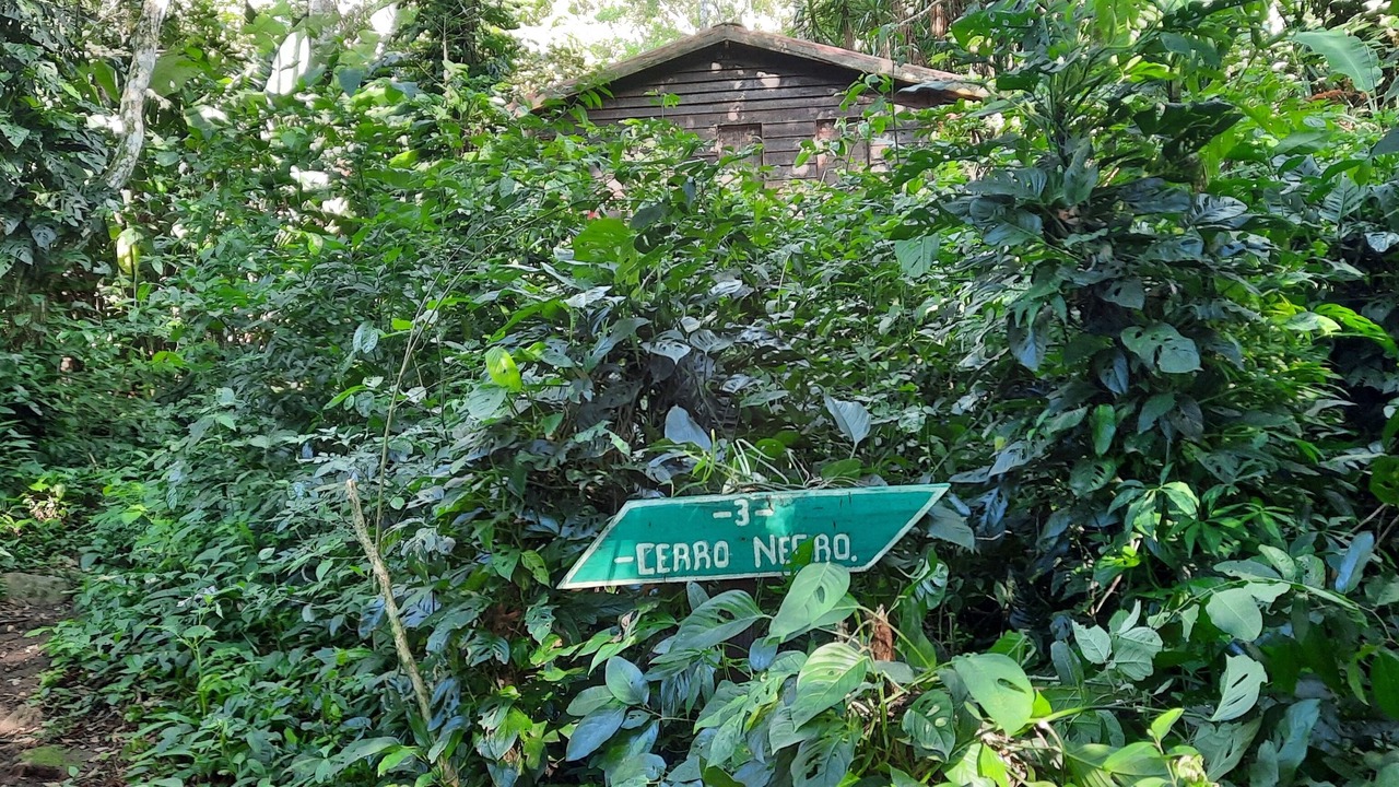 Photo of Outdoor in Mombacho Volcano Nature Reserve