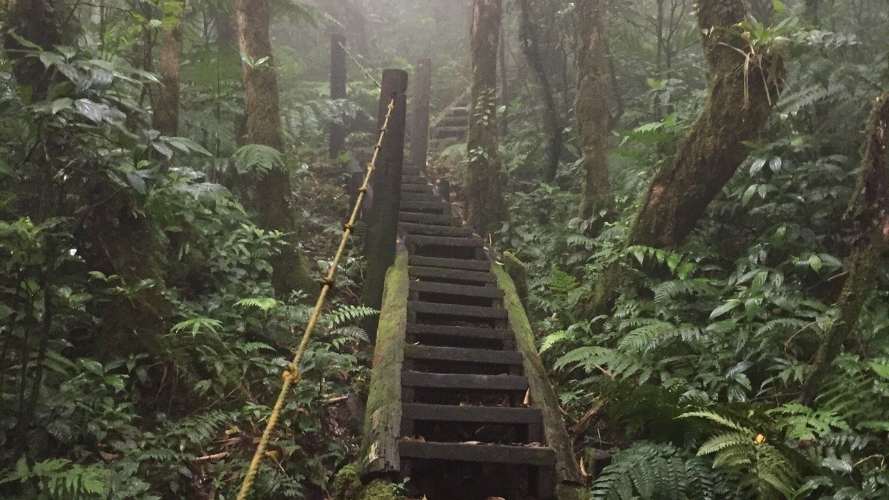 Photo of Outdoor in Mombacho Volcano Nature Reserve