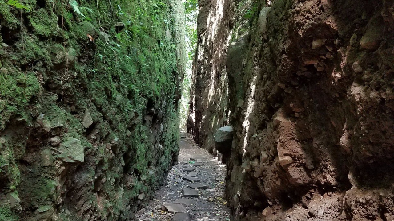 Photo of Outdoor in Mombacho Volcano Nature Reserve