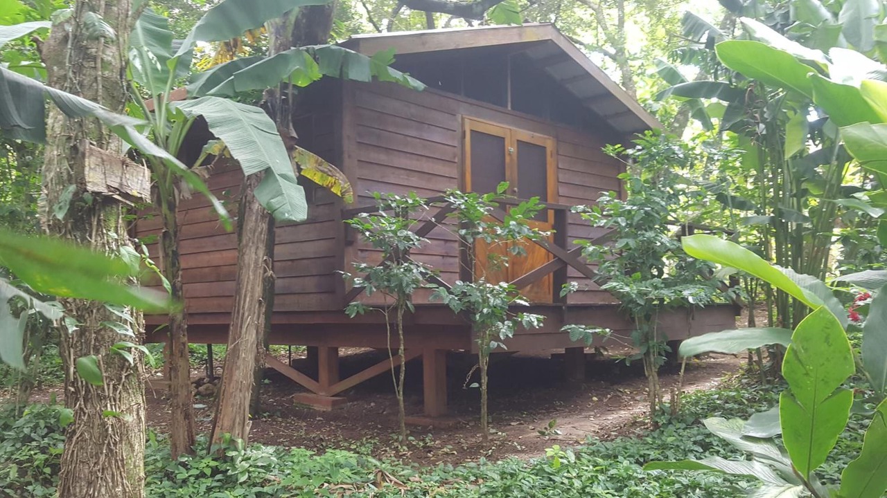 Photo of Outdoor in Mombacho Volcano Nature Reserve