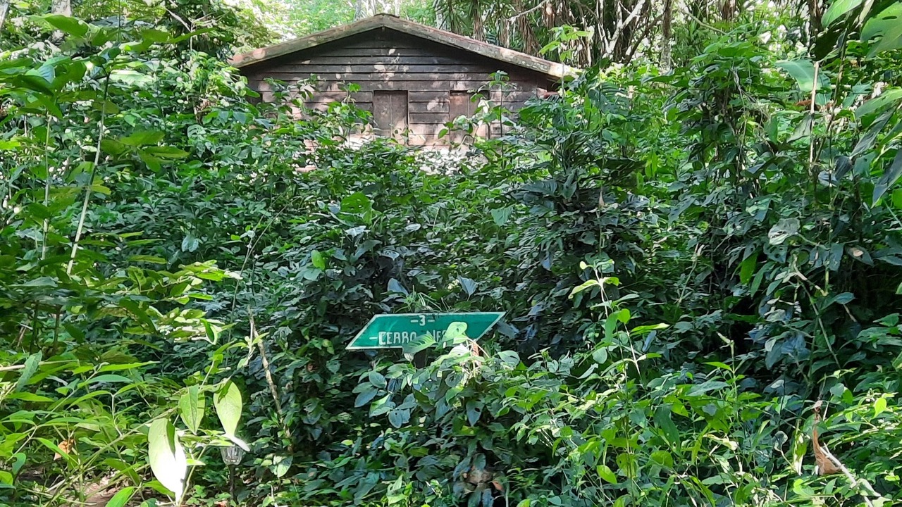 Photo of Outdoor in Mombacho Volcano Nature Reserve