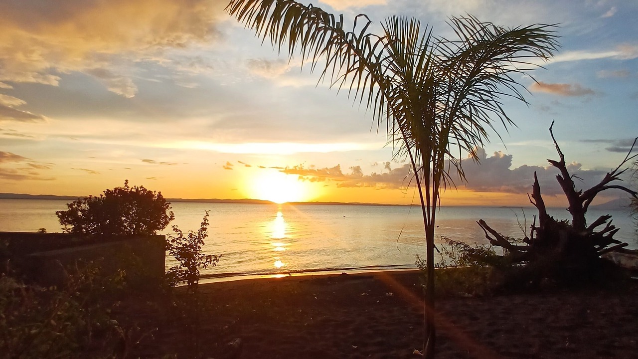 Photo of Outdoor in Ometepe Island