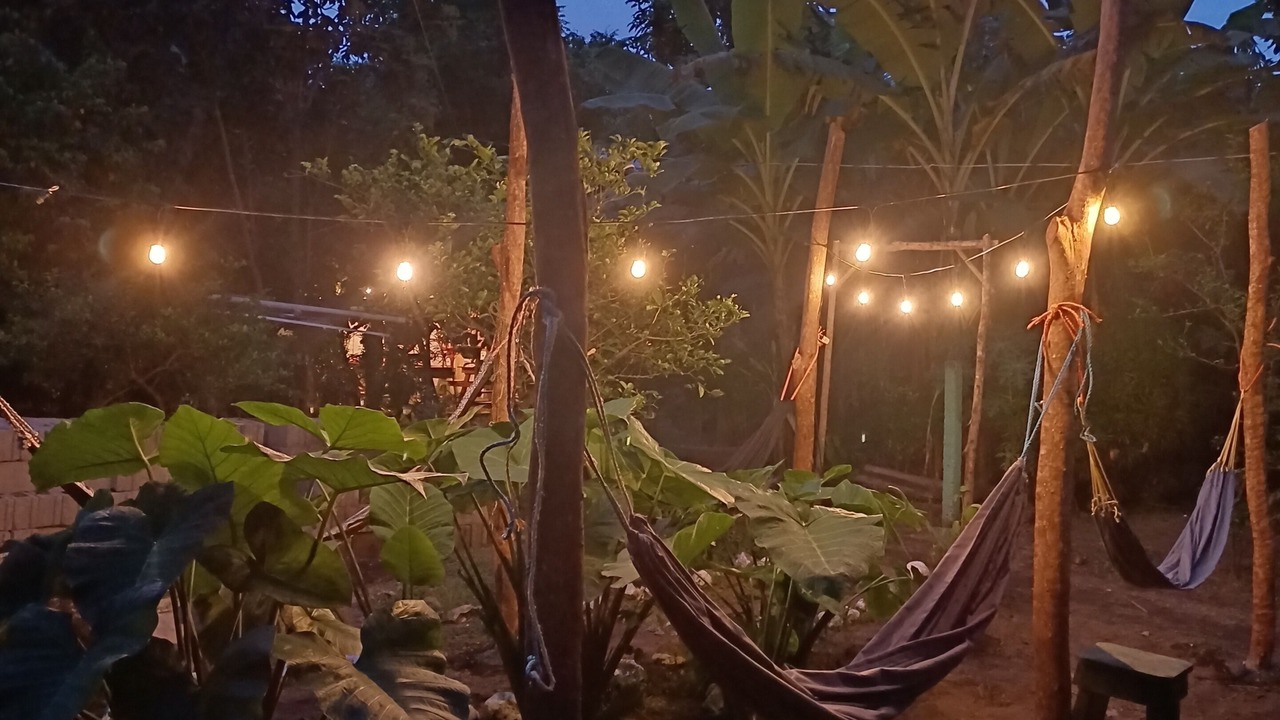Photo of Outdoor in Ometepe Island