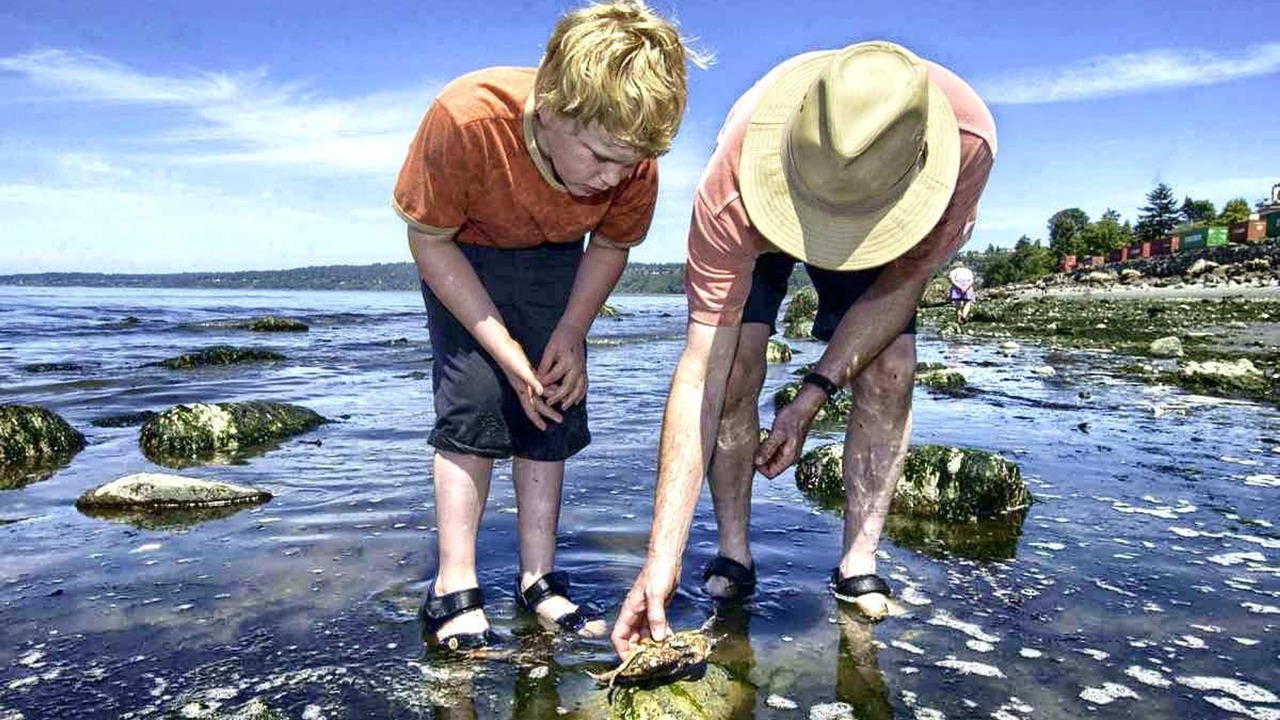 Photo of Others in Pochomil