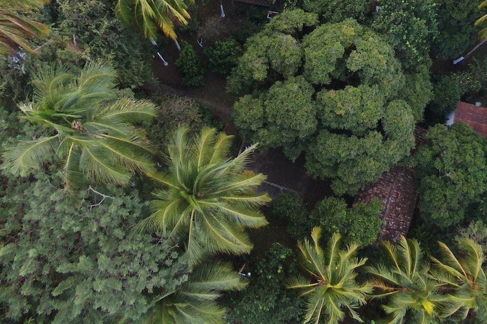 Photo of Outdoor in Moyogalpa