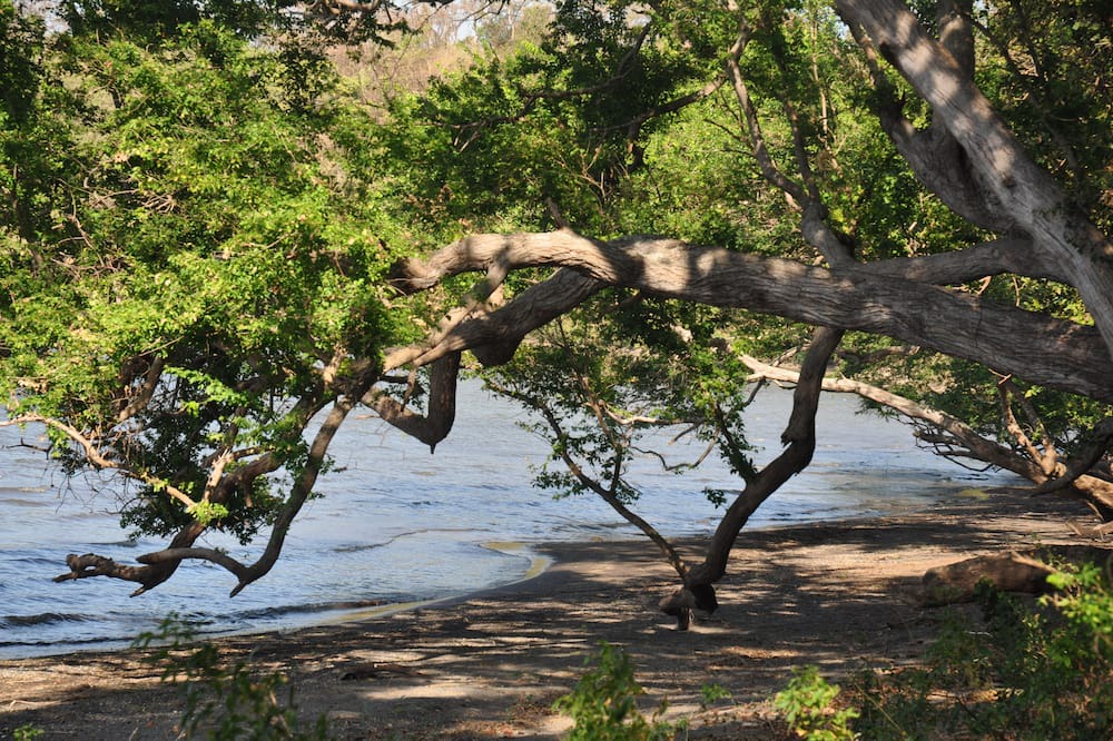 Photo of Outdoor in Moyogalpa