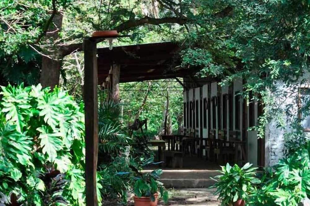 Photo of Livingroom in Moyogalpa