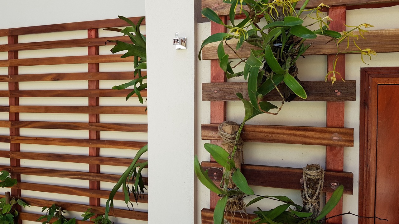 Photo of Outdoor in Leon
