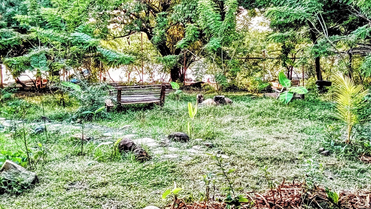 Photo of Outdoor in Poneloya