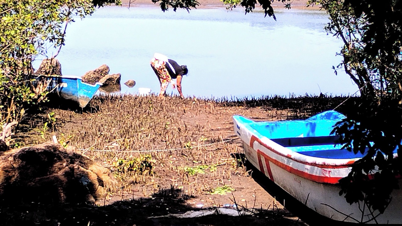 Photo of Outdoor in Poneloya