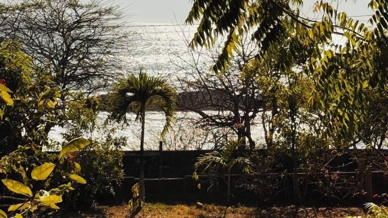 Photo of Outdoor in El Transito