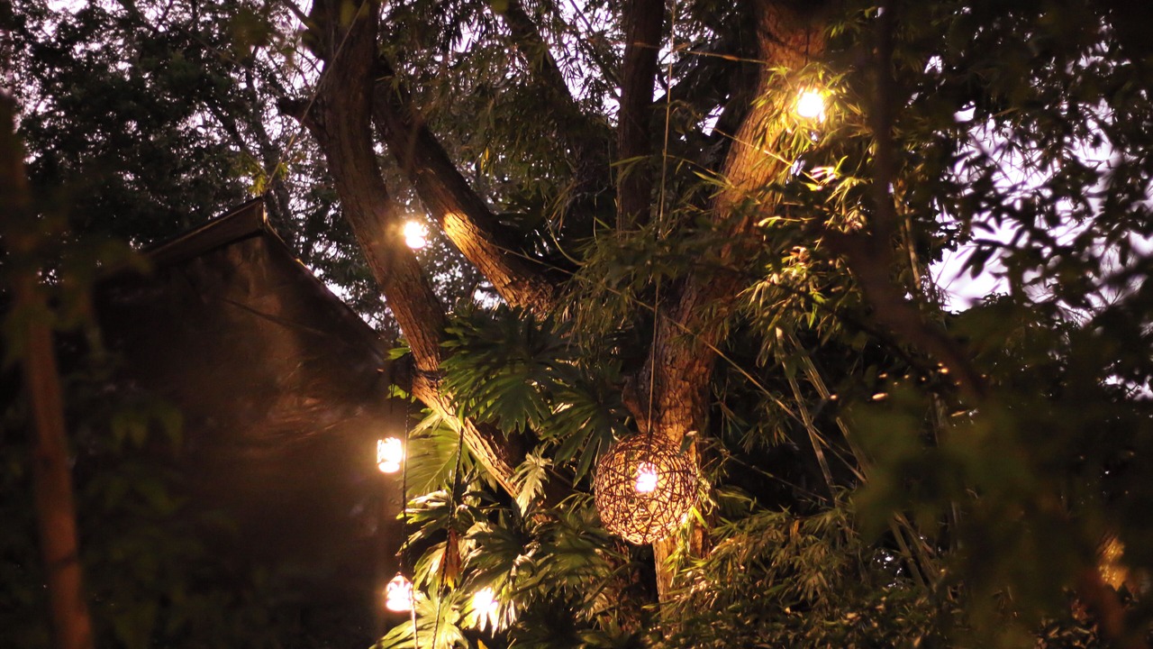 Photo of Outdoor in La Laguna