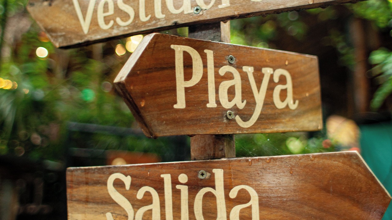 Photo of Outdoor in La Laguna