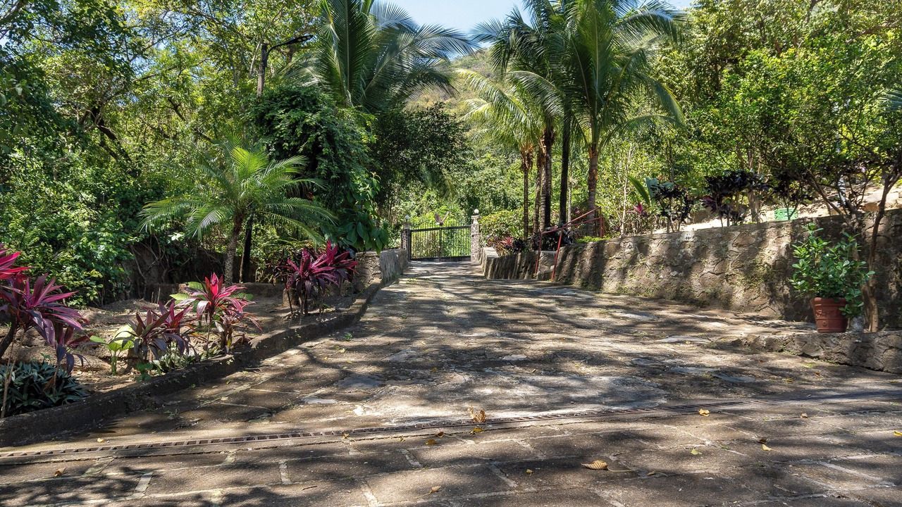 Photo of Outdoor in La Laguna