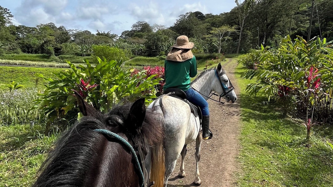 Photo of Others in Matagalpa