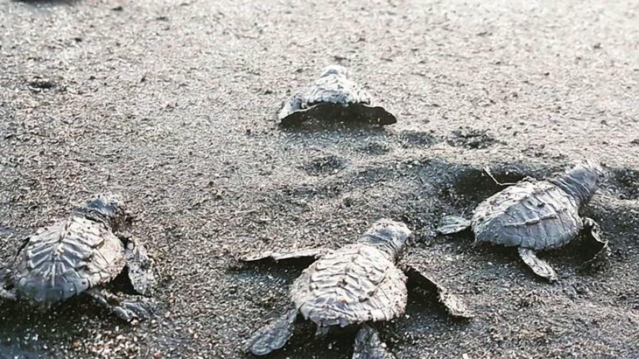 Photo of Others in Salinas Grandes