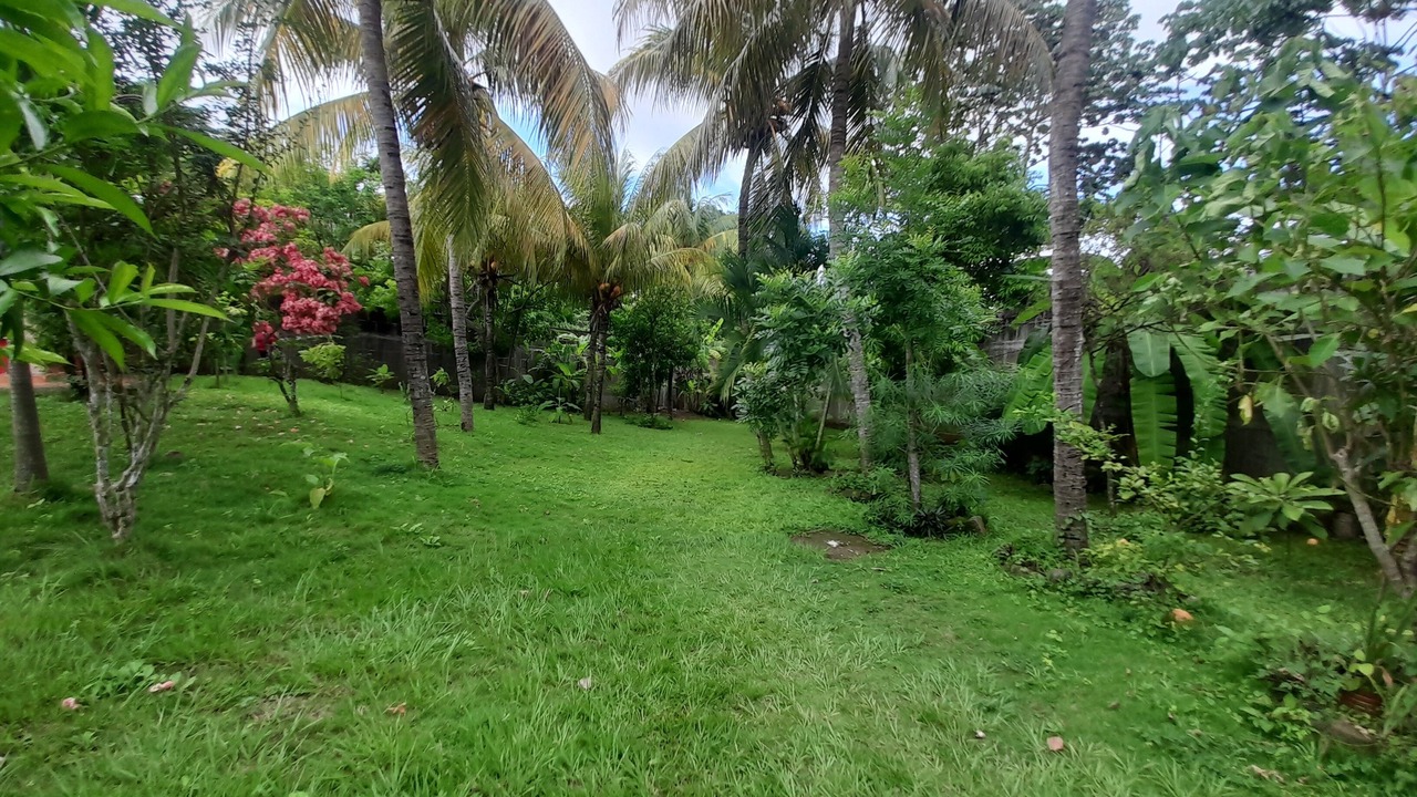 Photo of Outdoor in Masaya