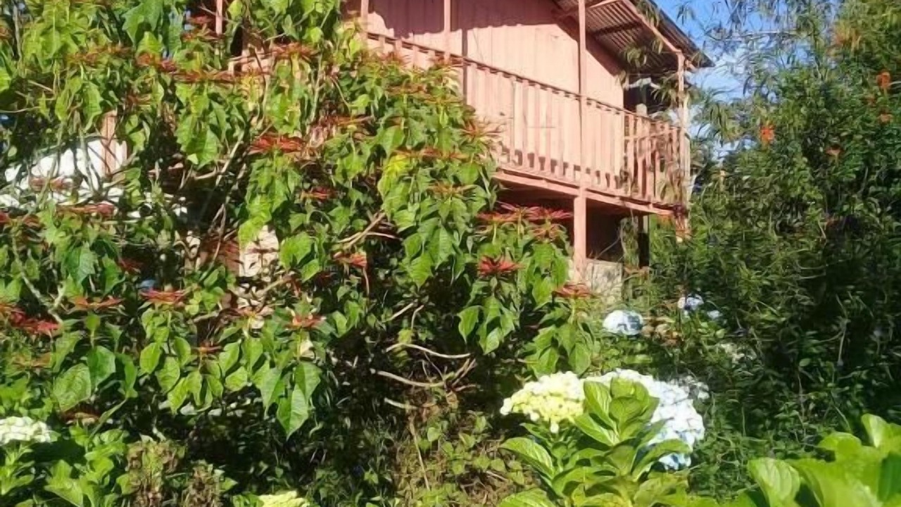 Photo of Outdoor in Puertas Azules