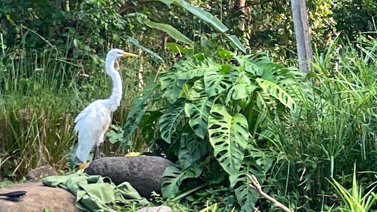 Photo of Outdoor in Boaco