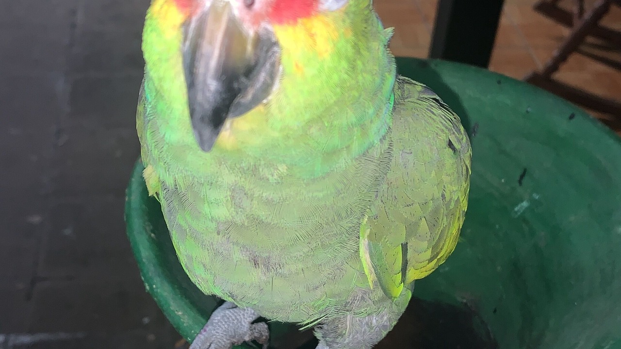 Photo of Outdoor in Managua