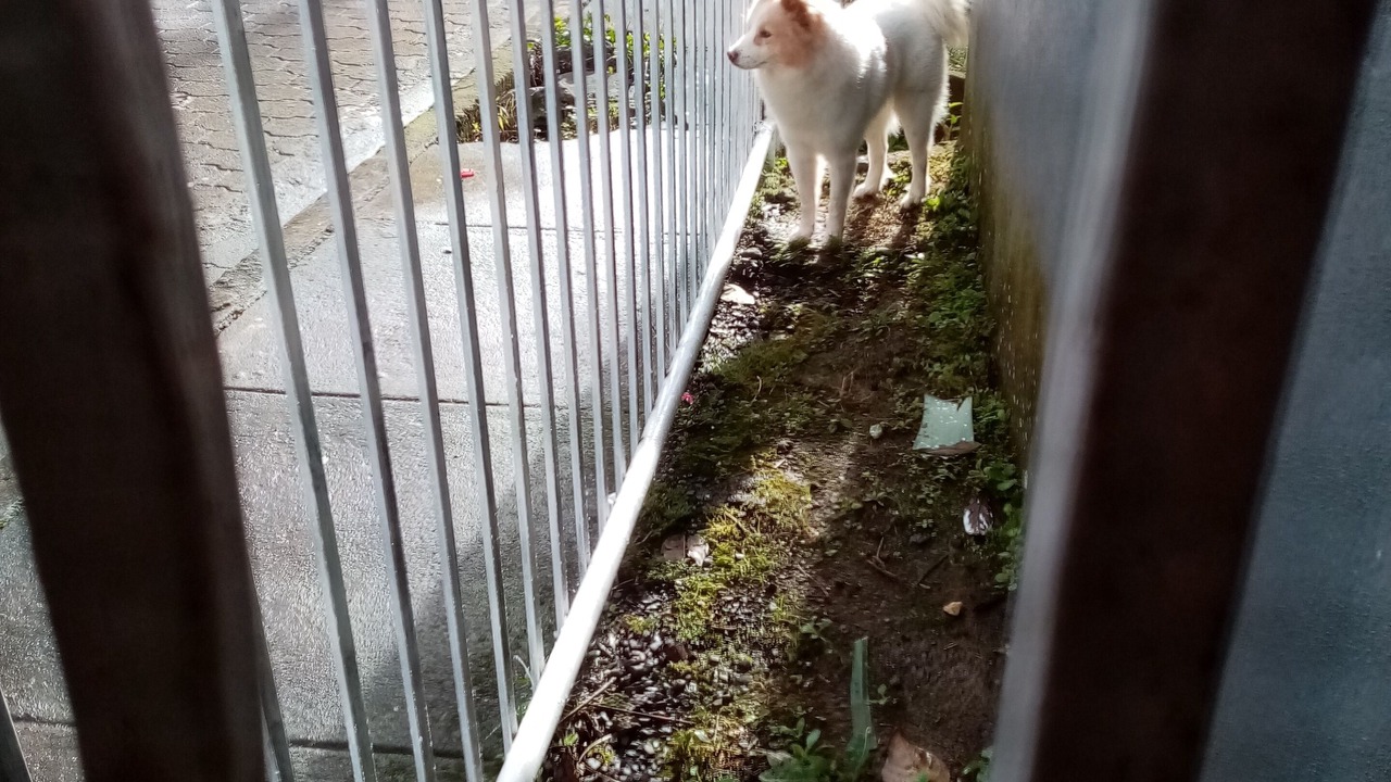 Photo of Outdoor in Matagalpa