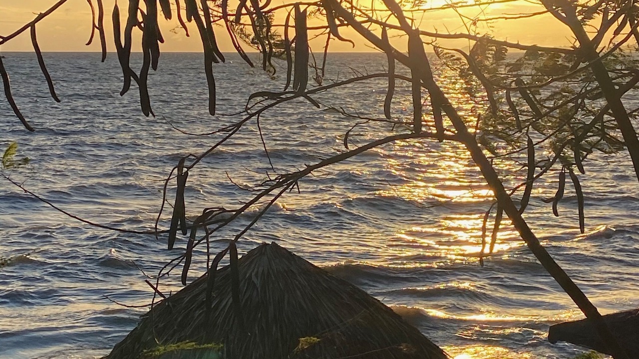 Photo of Others in Playa Santo Domingo