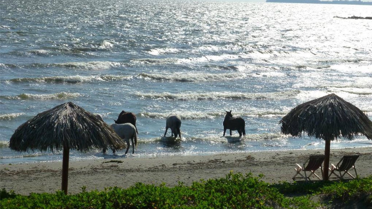 Photo of Outdoor in Playa Santo Domingo