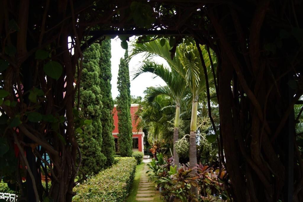 Photo of Outdoor in Managua