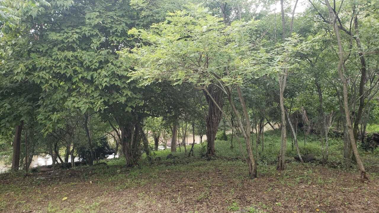 Photo of Outdoor in Esteli