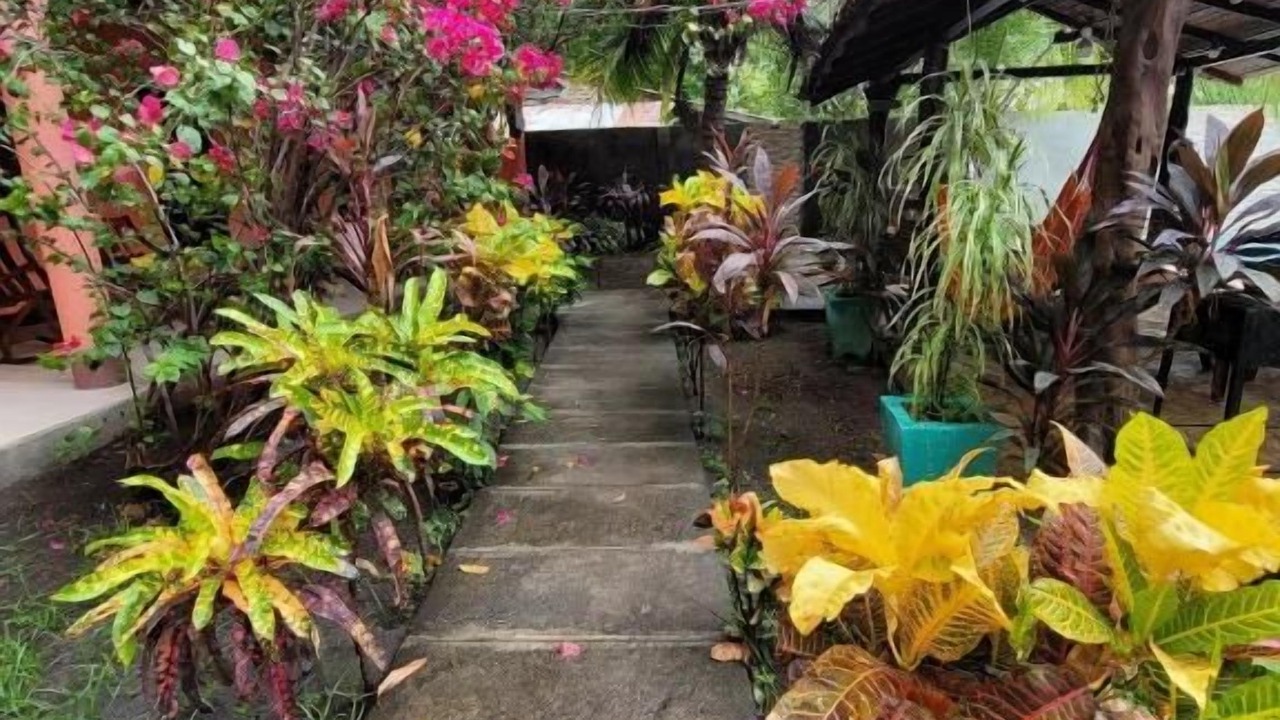 Photo of Outdoor in Moyogalpa